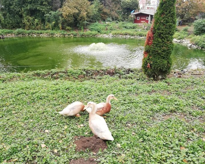 Gaststaette Zum Vogelpark